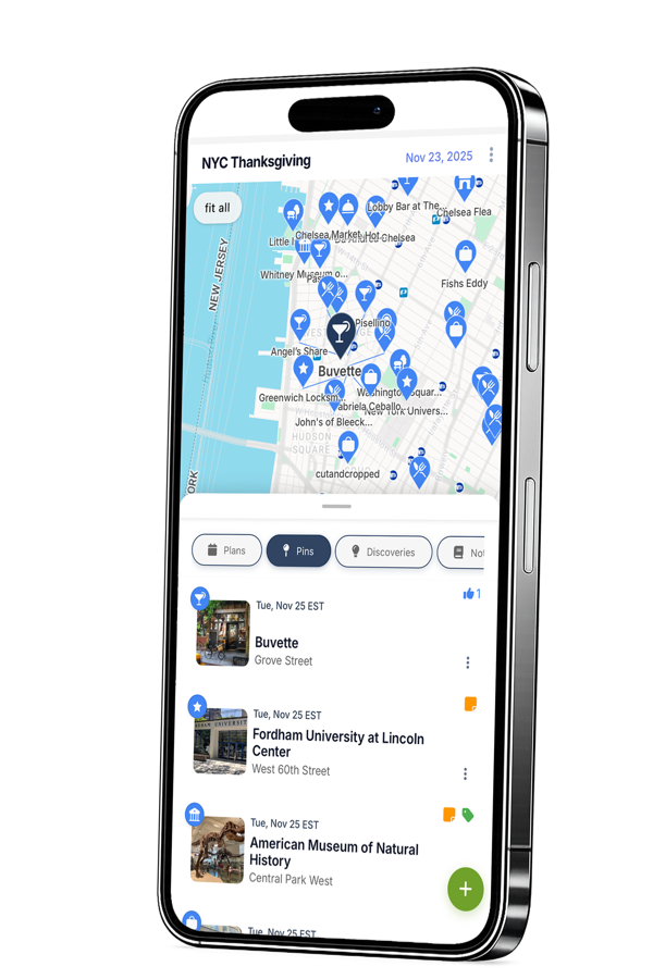PinTrips app on a phone